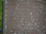 image of grave number 899441